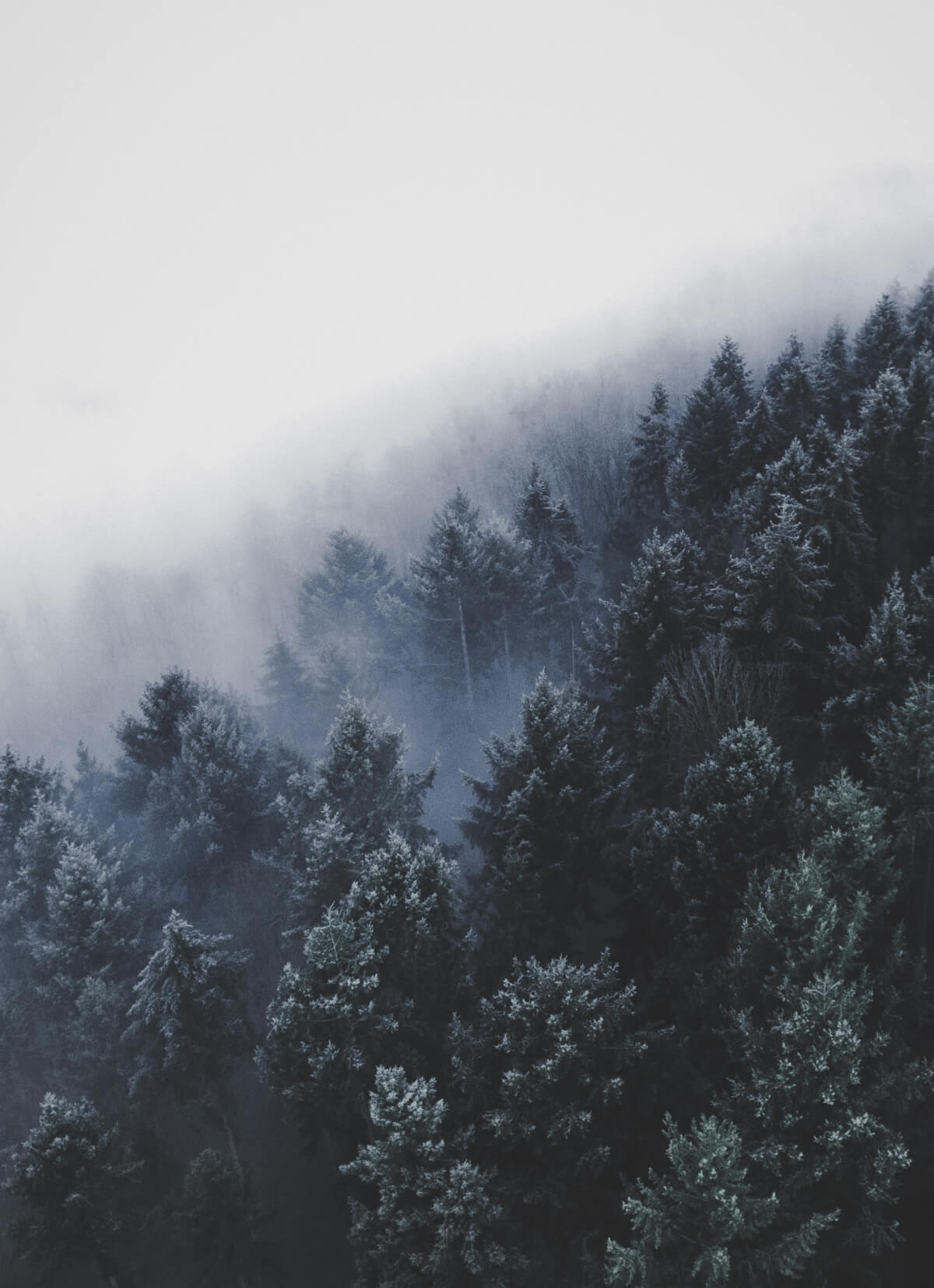christian-grab-AygJgCM_vto-unsplash